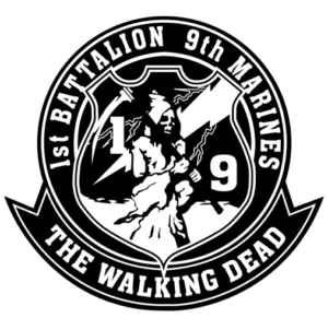 Walking Dead Velcro Patch