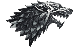 house stark velcro patch