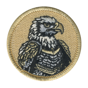 Eagle Scout Medal