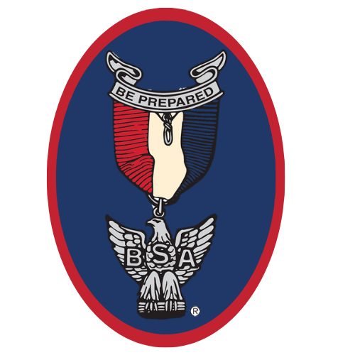 Eagle Scout Badge Image