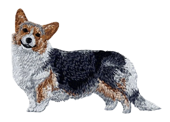 cardigan corgi velcro patch