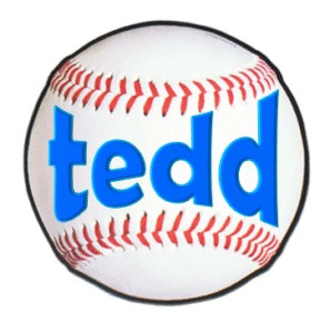 TEDD Embroidery Patch