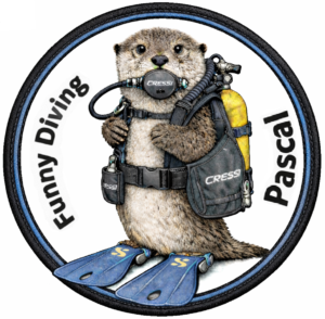 Funny Diving Pascal Patch
